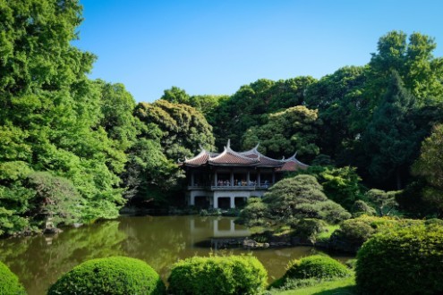 Embrace nature in Shinjuku Gyoen National Garden