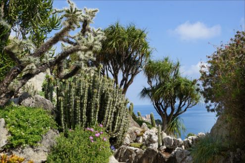 Exotic Garden, Monaco