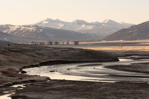 Lamar Valley