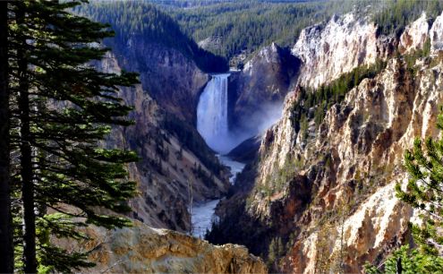 Yellowstone Falls