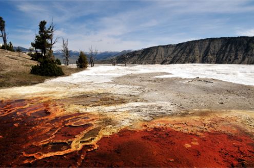 Mammoth Hot Spring