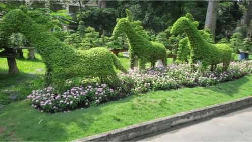 Botanical Gardens, Ho Chi Minh City