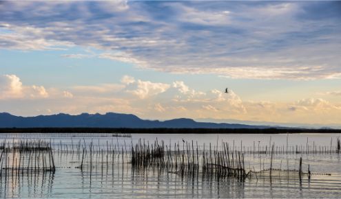 Albufera Nature Park, Valencia