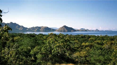 Komodo National Park