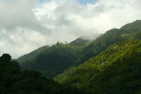 Blue Mountains, Jamaica