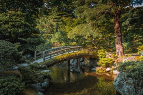 Kyoto Imperial Palace Gardens