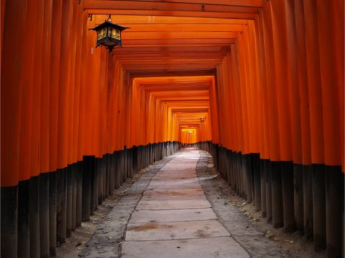 Torii Gates at Fushimi Inari