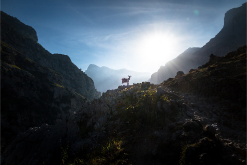 Picos de Europa mountains