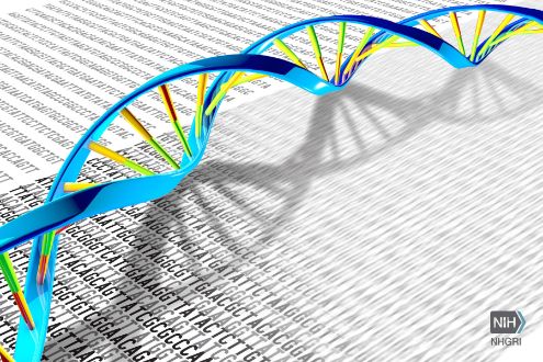 DNA double helix